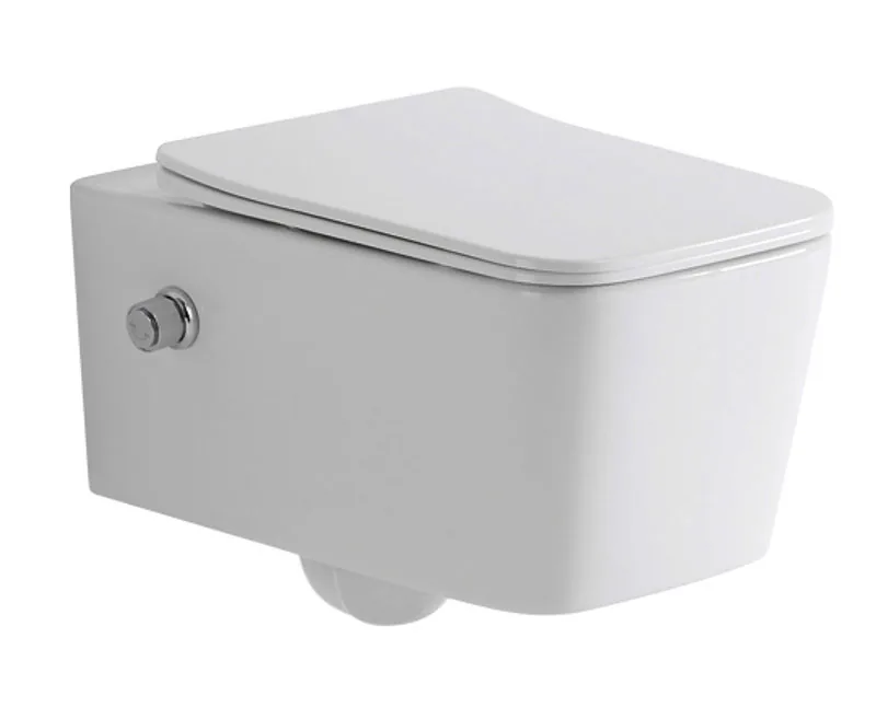 TT2467D-BD Wall Hung Toilet