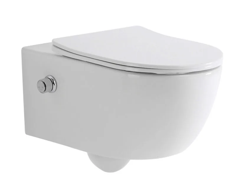 TT2468D-BD Wall Hung Toilet