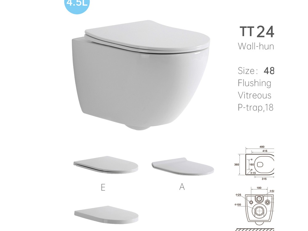 TT2418D Wall Hung Toilet